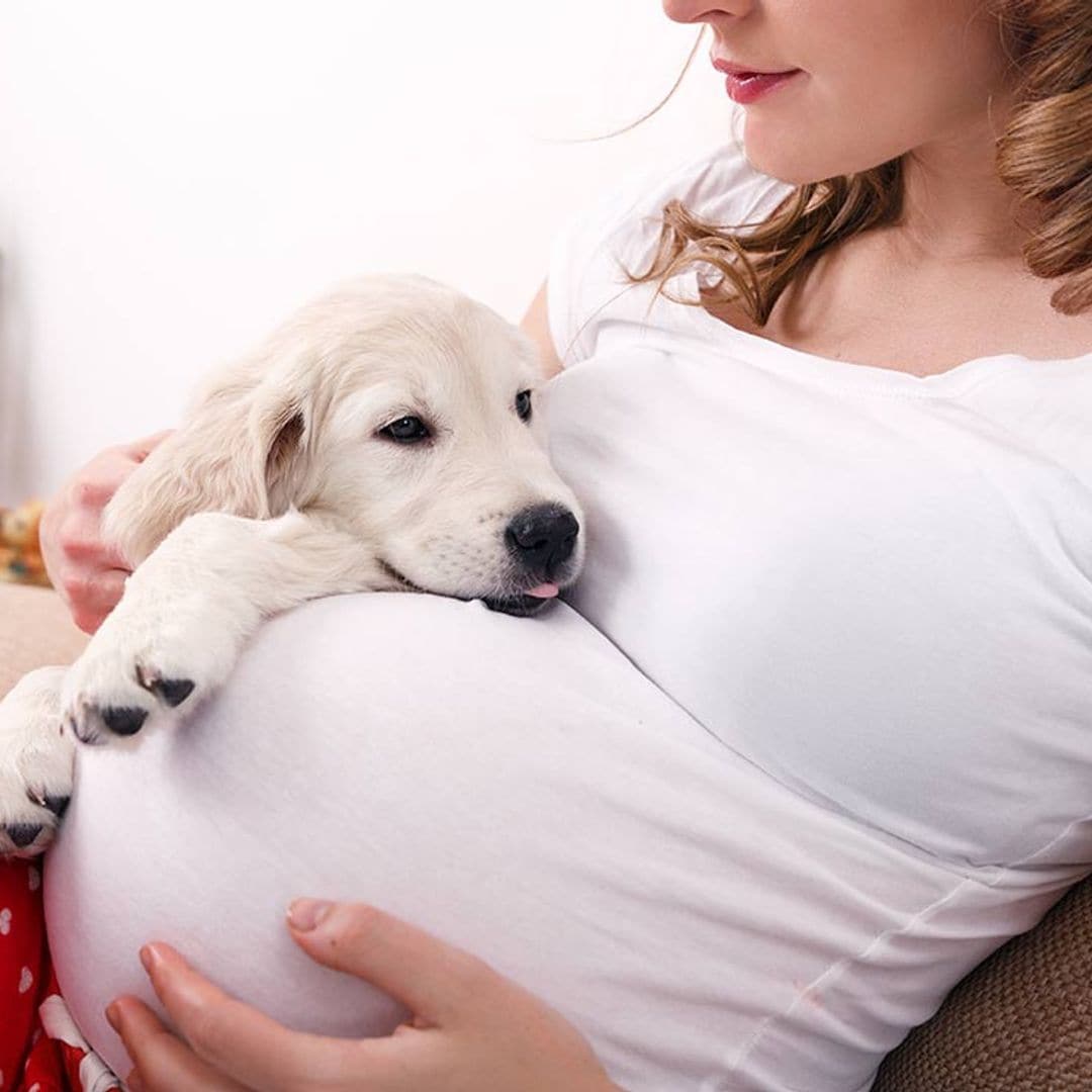 ¿Es beneficioso tener mascota si estás embarazada?