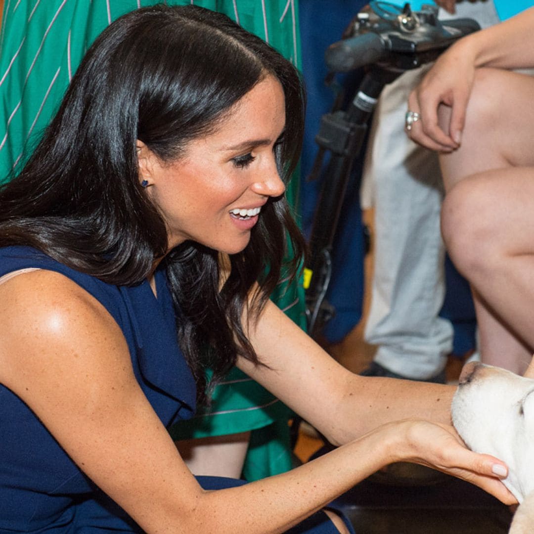 Meghan Markle tiene nuevos productos para vender, incluidos champús para mascotas