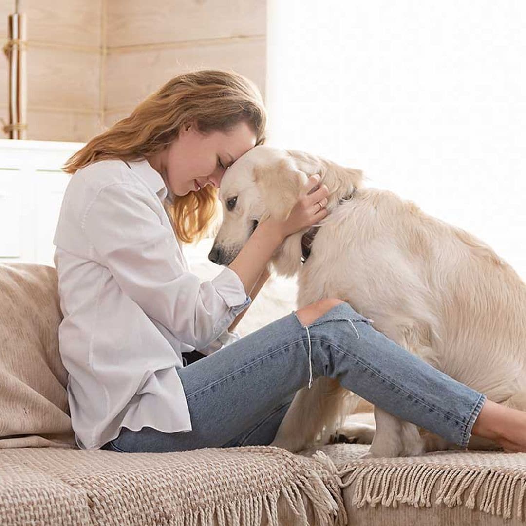 ¿Cómo hacer con las mascotas durante la cuarentena si tienes la custodia compartida?