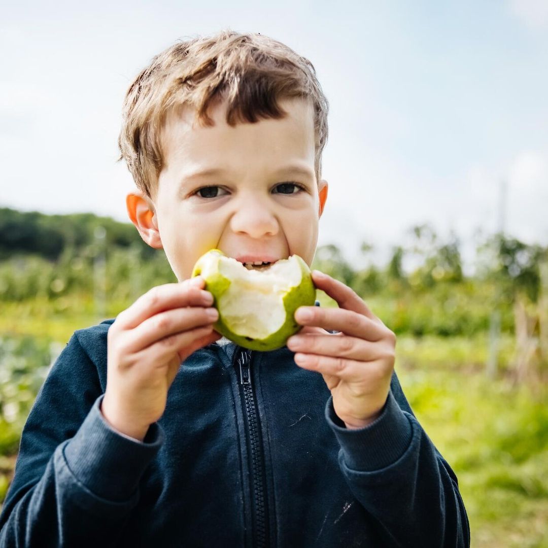 ‘¿Puedo dar una dieta vegetariana a mi hijo de corta edad?’