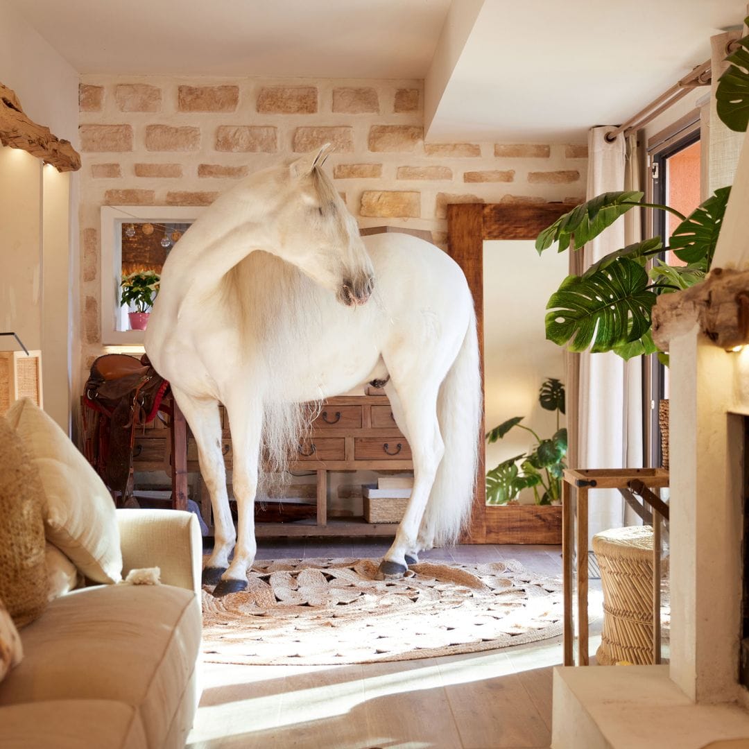 Un caballo en el salón de Marta González