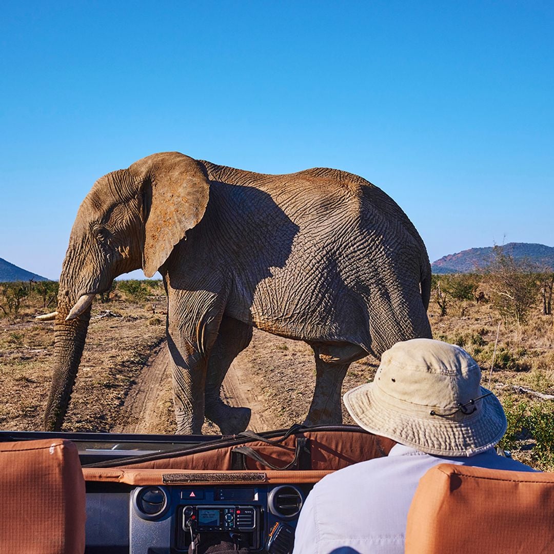 Reserva Natural de Madikwe, Sudáfrica