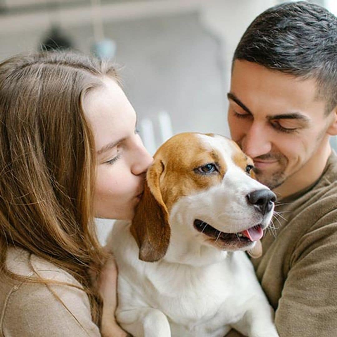 Quieres tener un perro pero estos miedos te lo impiden