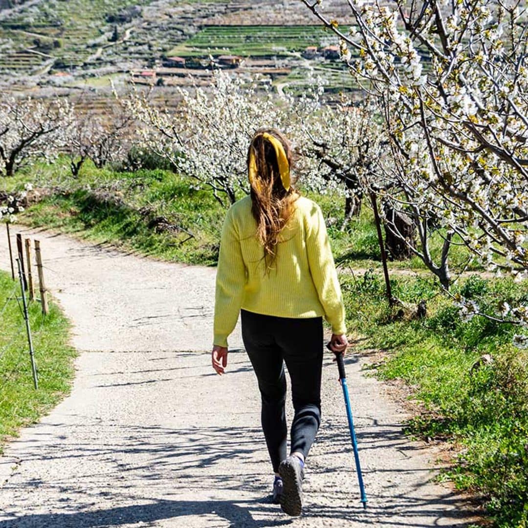 Semana Santa entre los cerezos en flor del Valle del Jerte