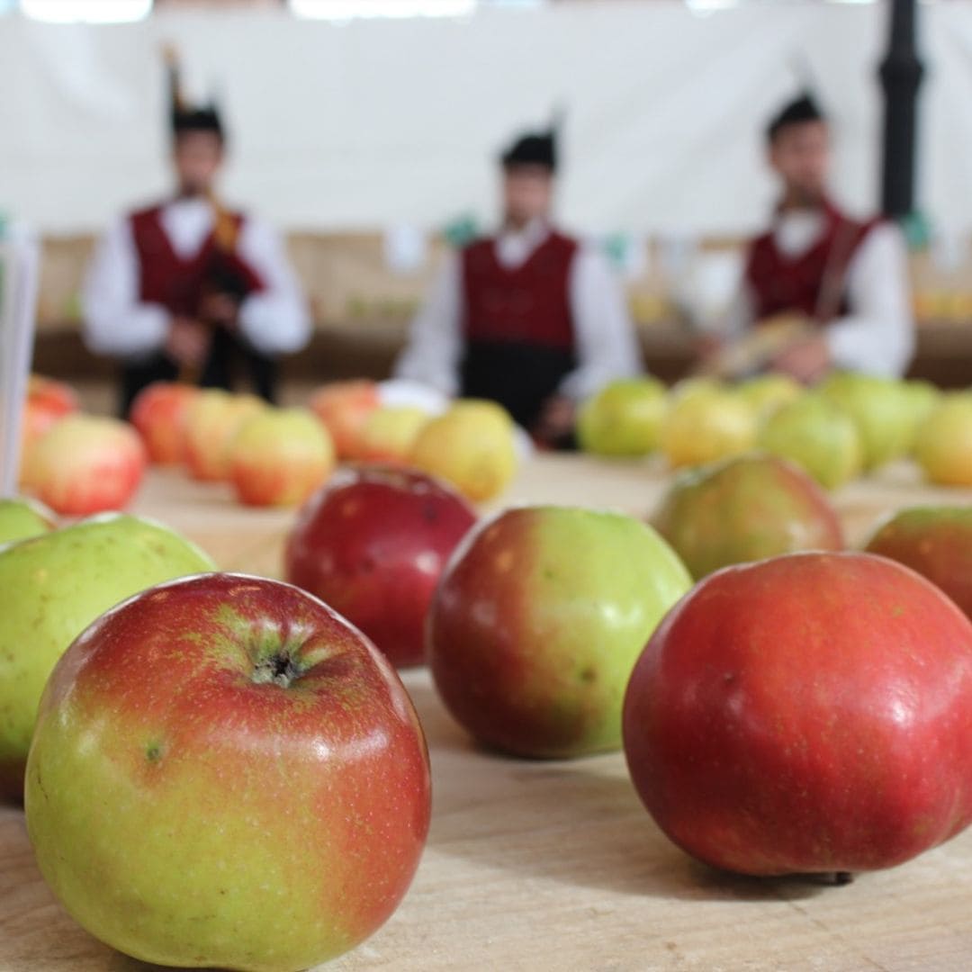 Cultura sidrera, Comarca de la Sidra, Asturias