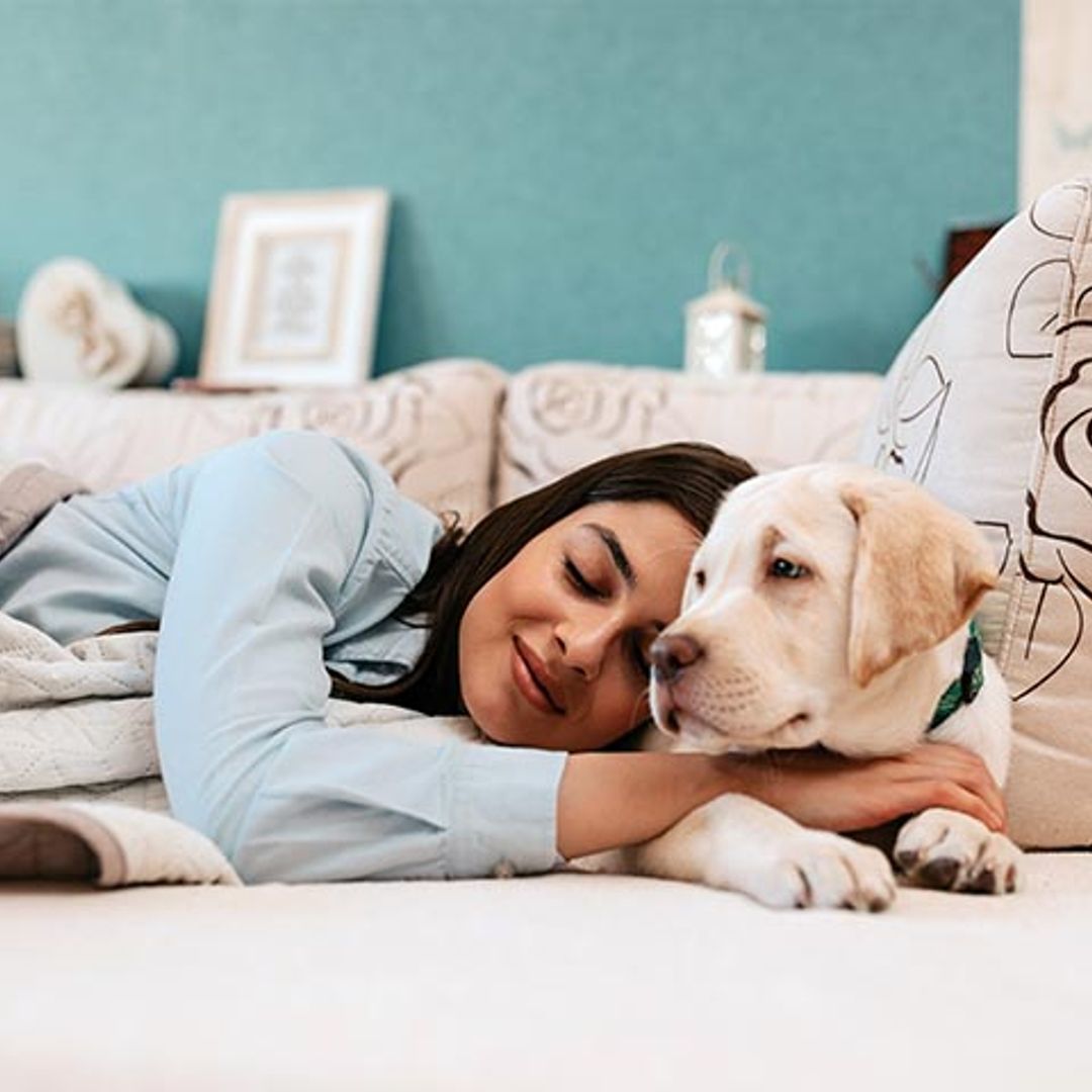 Pros y contras de dormir con perros