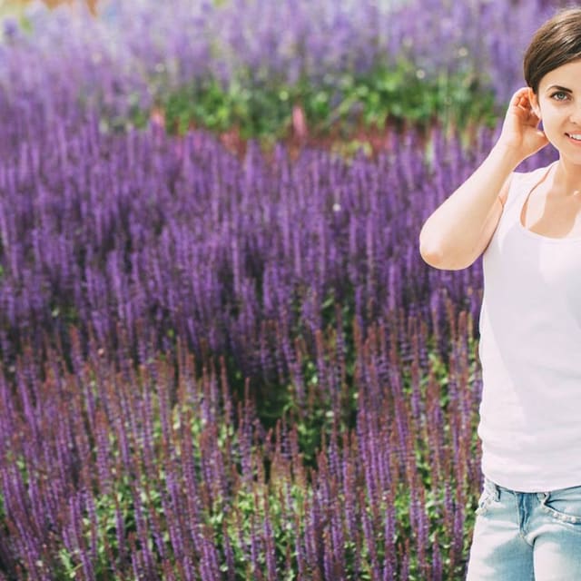 lavanda pelo