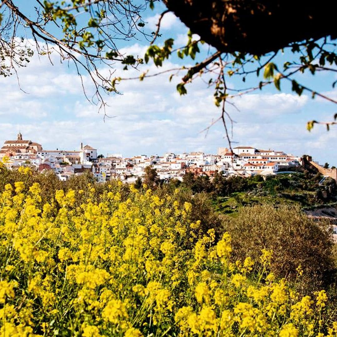 Baena (Córdoba): tesoros ocultos en un mar de olivos