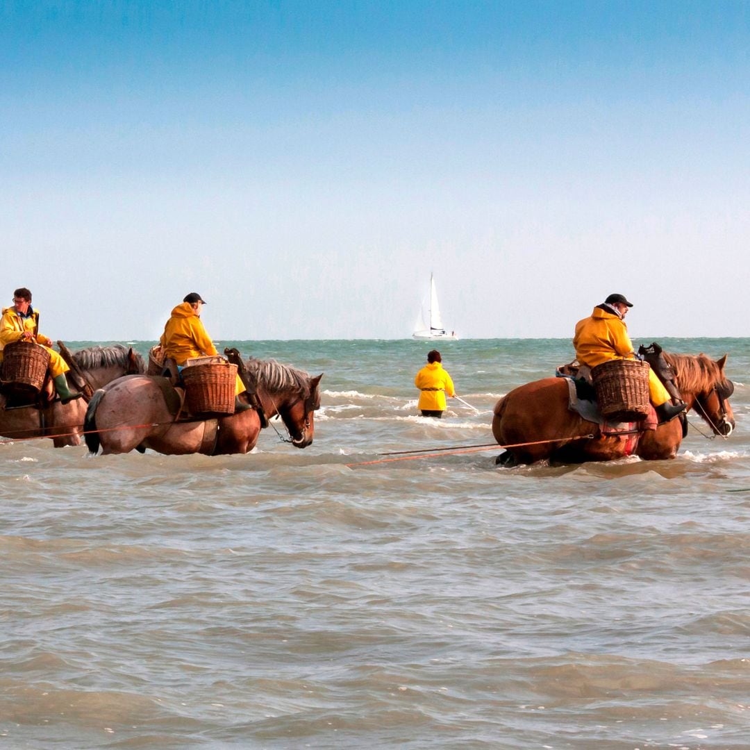 Ostende: playas de ensueño, camarones y mucho arte en la costa de Flandes