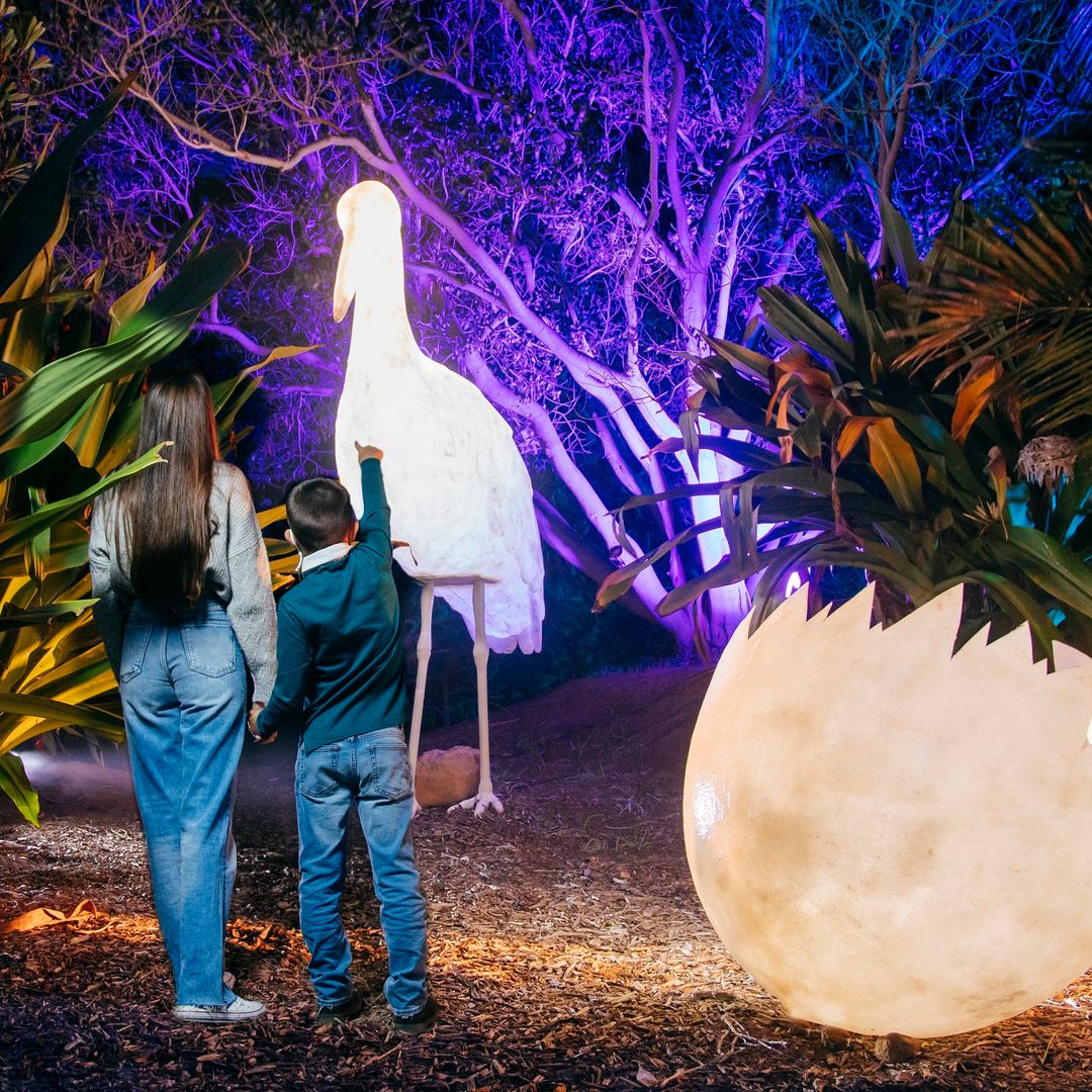 Naturaleza Encendida en Madrid, el espectáculo navideño que ya puedes reservar