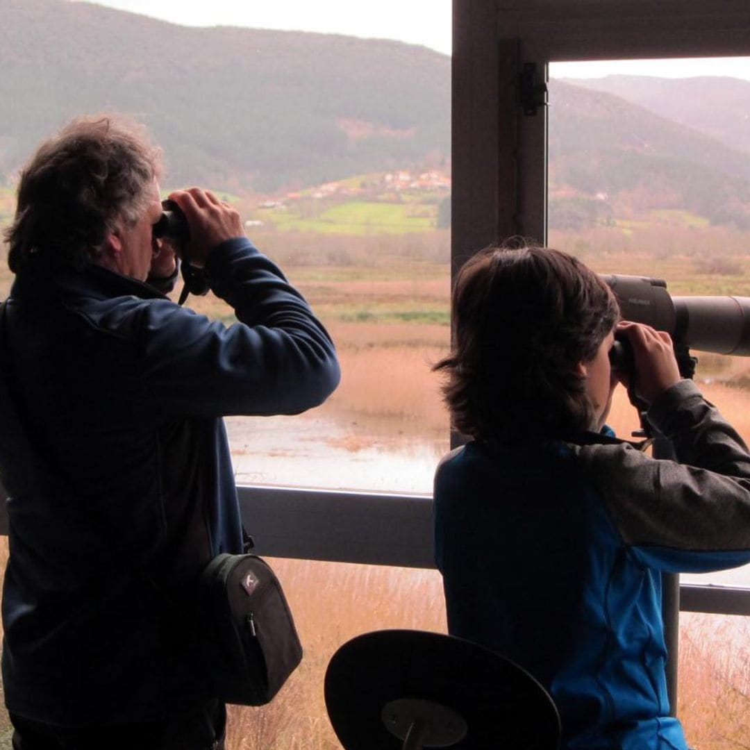 Visitantes del Bird Center de Urdaibai observando las aves de la marisma