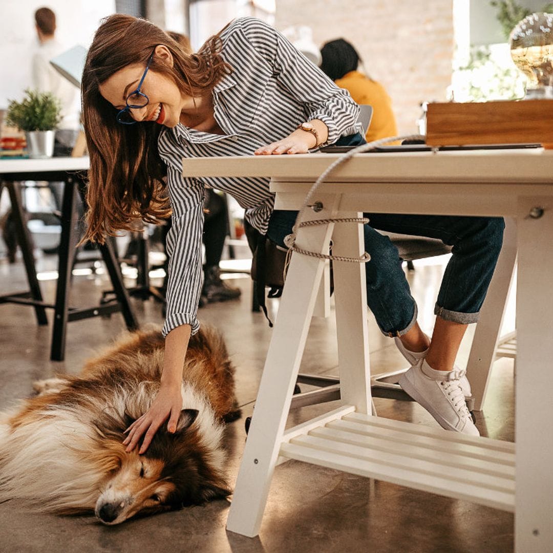 Oficinas 'petfriendly': ¿Qué beneficios puede tener llevarte la mascota al trabajo?