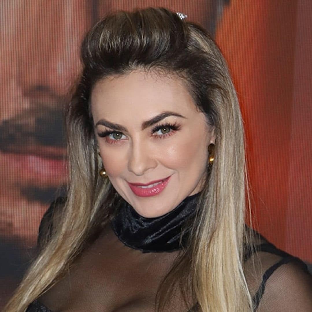 ¿Romance? El actor que ha sido relacionado con Aracely Arámbula lo aclara todo