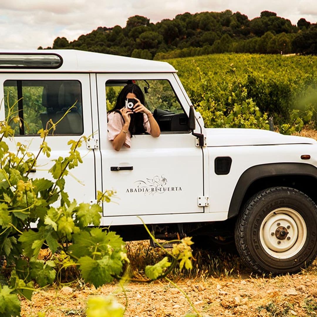 Las experiencias más inolvidables de España para locos por el vino