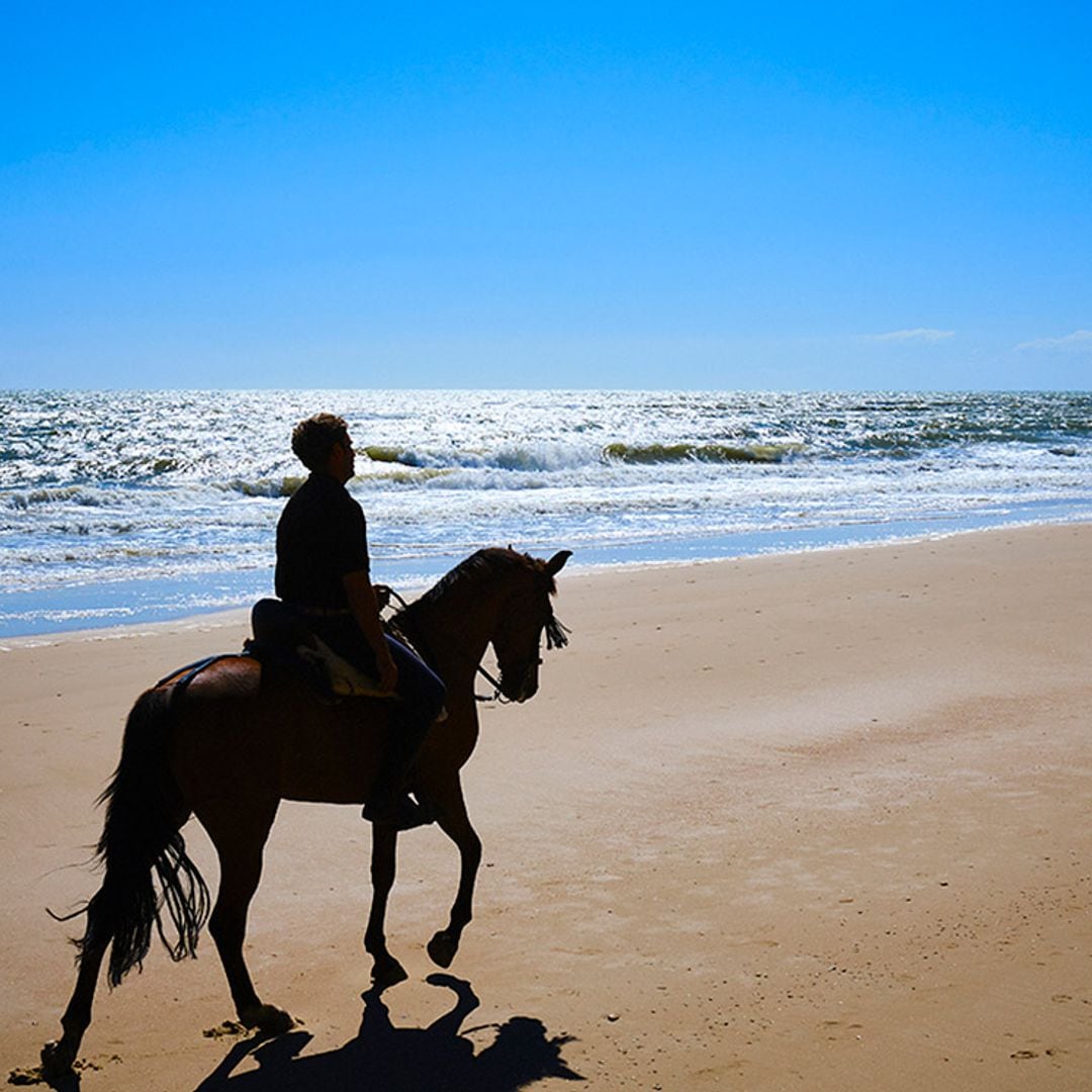 Paseos a caballo por la playa, amanecer entre la fauna y mil experiencias más en Doñana 