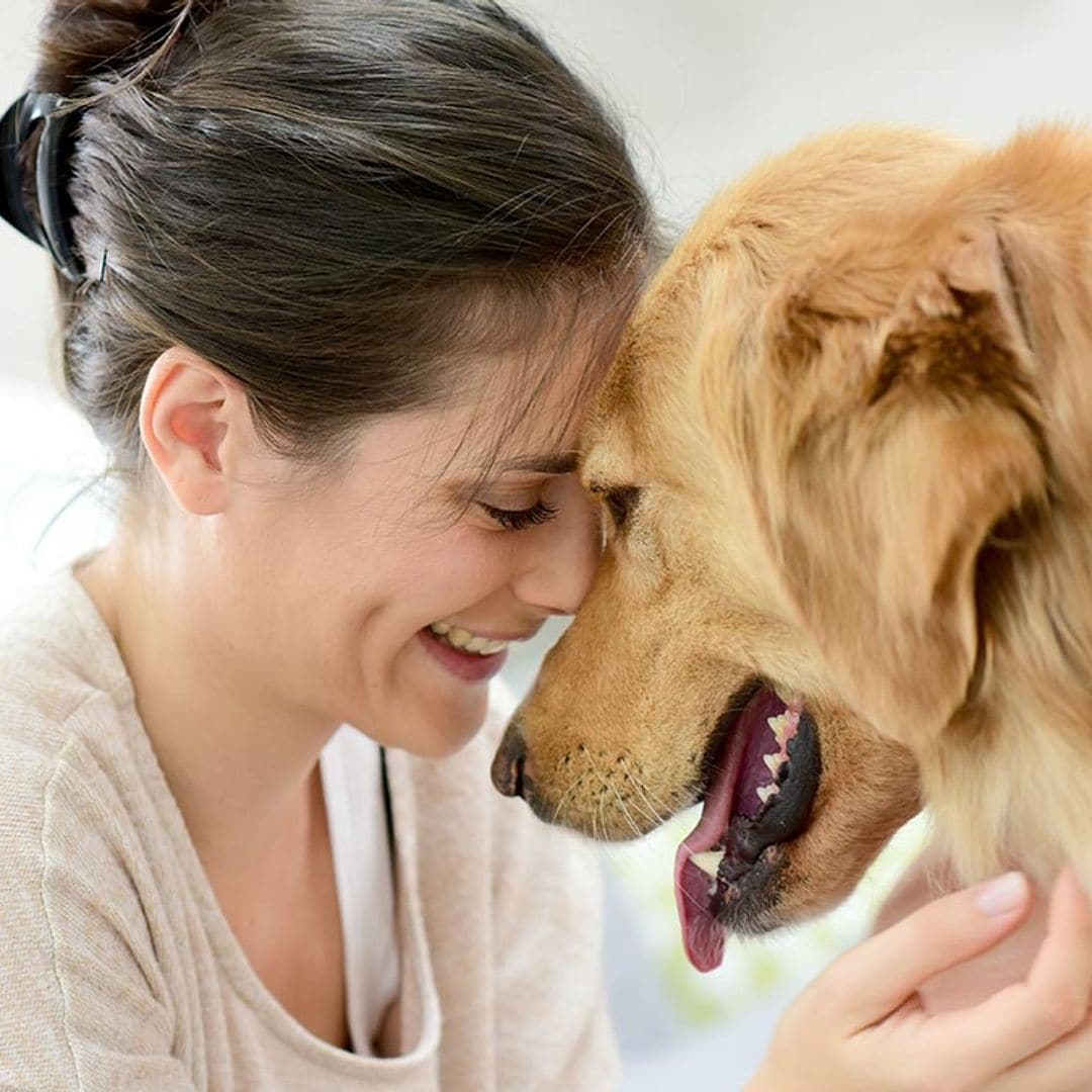 Tu perro tiene muchas cosas que decirte, y lo hace de estas formas