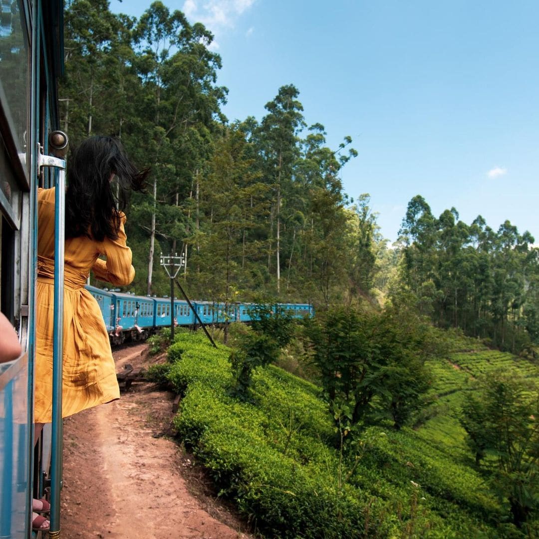 Cinco imperdibles rutas en tren por Latinoamérica