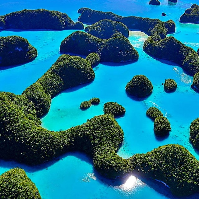 palau micronesia