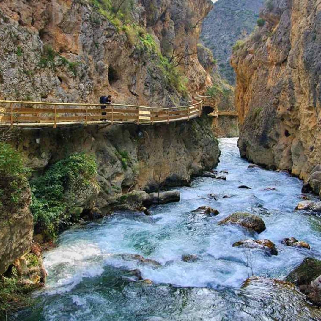 Un camino de pasarelas sobre las aguas en Granada