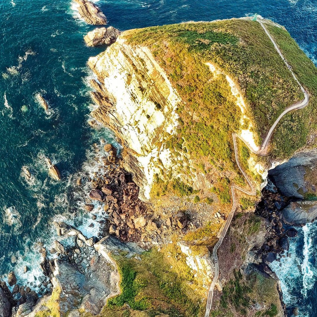 Viveiro y el eucaliptal de Chavín (Lugo): a la sombra del ‘abuelo’ centenario