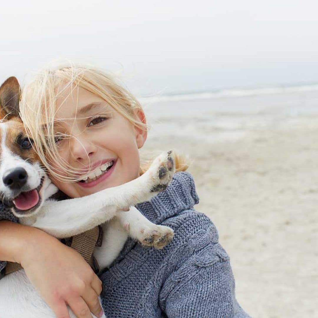 La calidad de vida de los perros estará protegida por ley