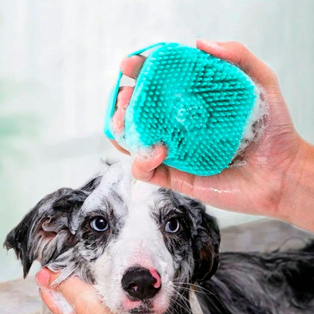 ¿Estás bañando correctamente a tu mascota? Con este cepillo lo harás como un profesional