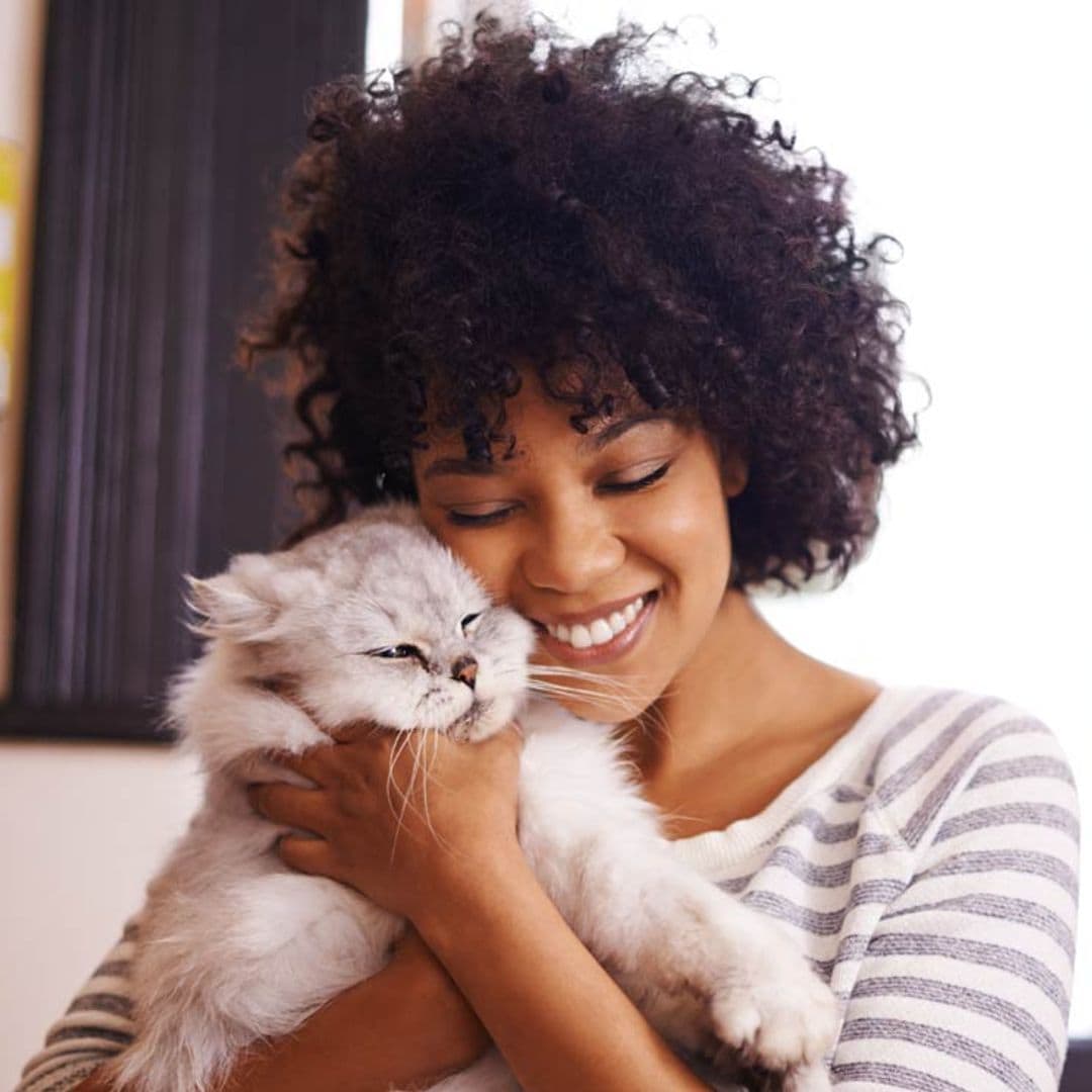 ¡Hasta 20 años pueden vivir! Estas son las razas de gato más longevas