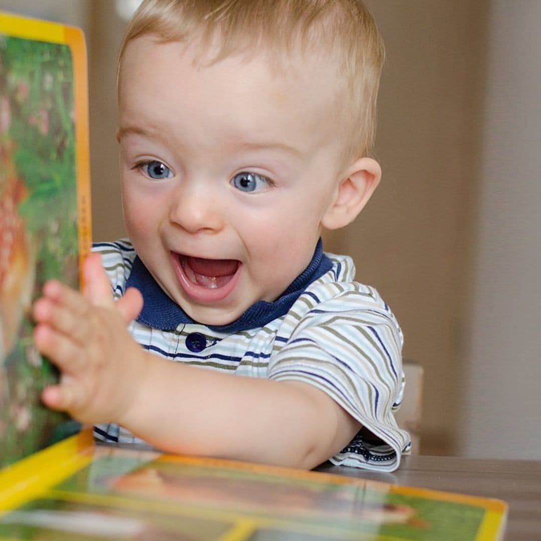 Libros y juegos para conocer el mundo animal desde casa