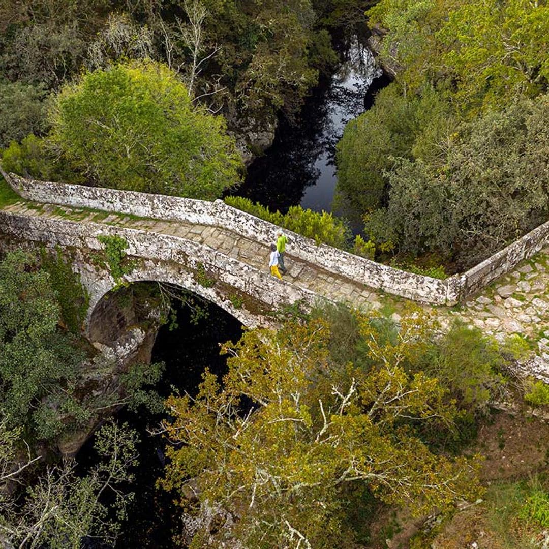 Fraga de Catasós: árboles gigantes y un paseo de hojarasca en Galicia 