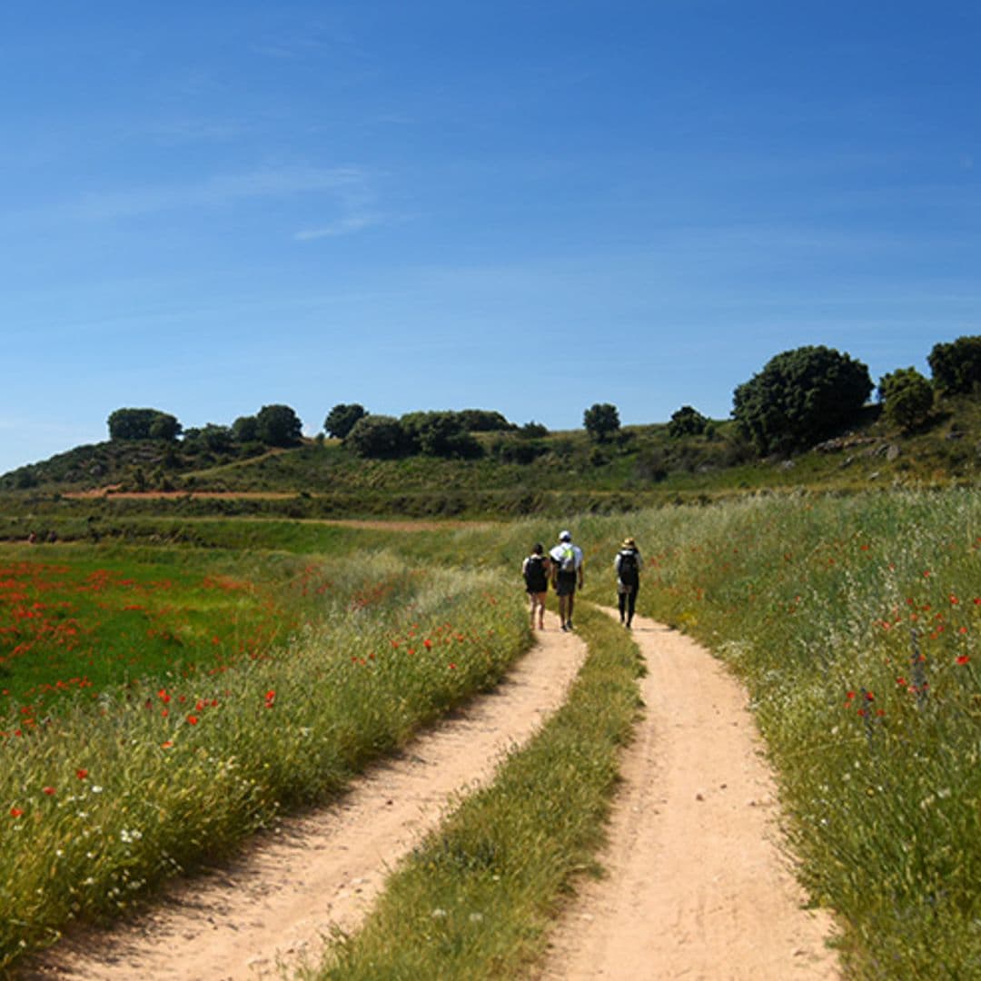 Viaje a La Alcarria, en versión siglo XXI