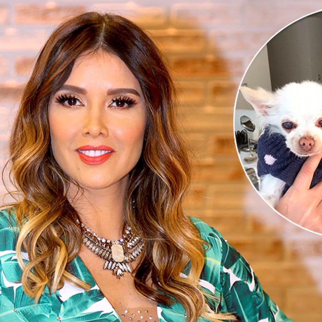 Marlene Favela comparte su tristeza tras la pérdida de su perrita ‘Roberta’