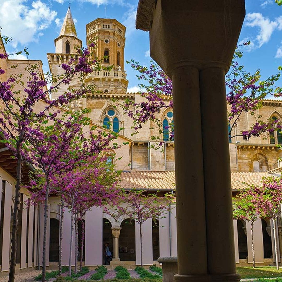 claustro catedral tudela