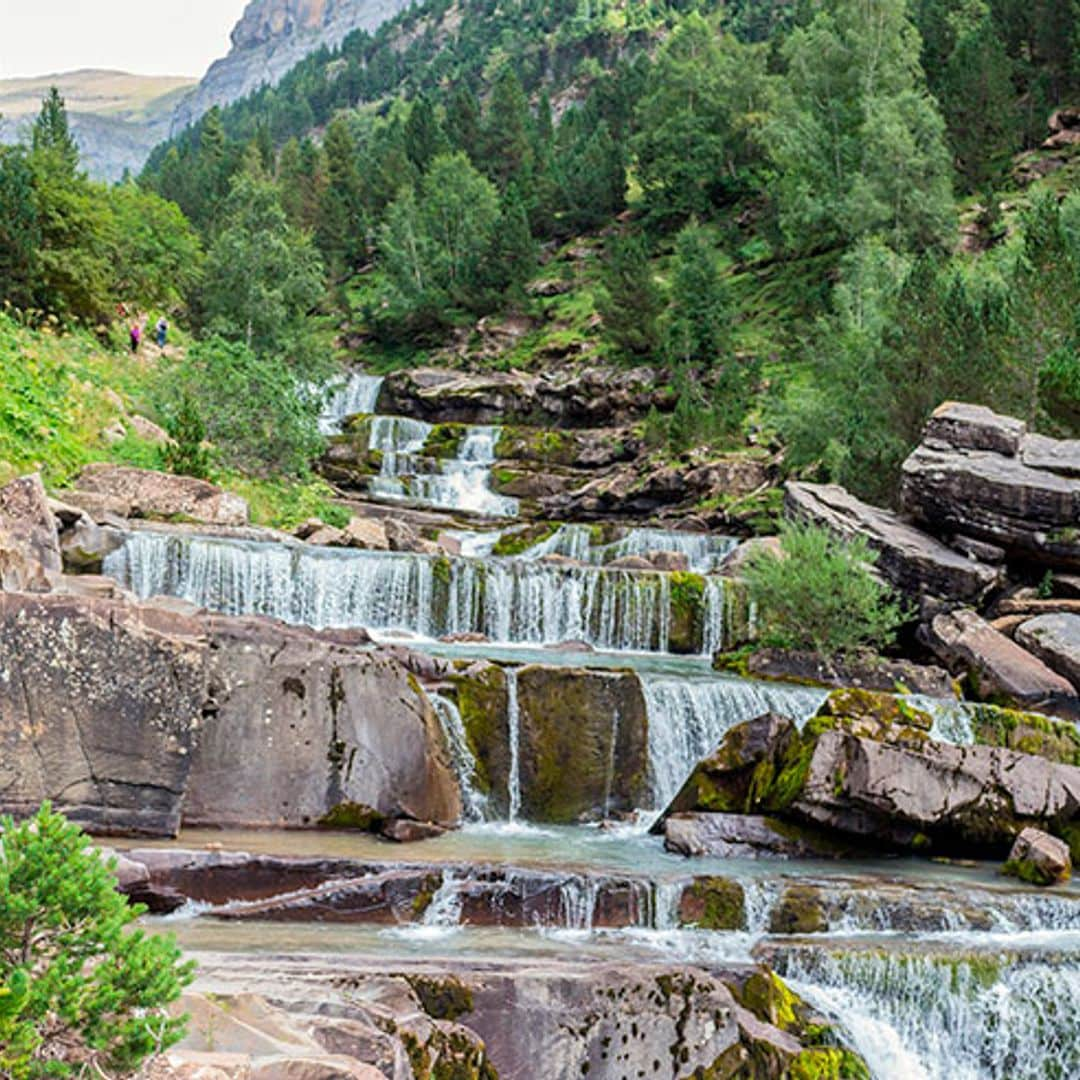 Ecoturismo en la naturaleza de El Bierzo y el Pirineo de Huesca