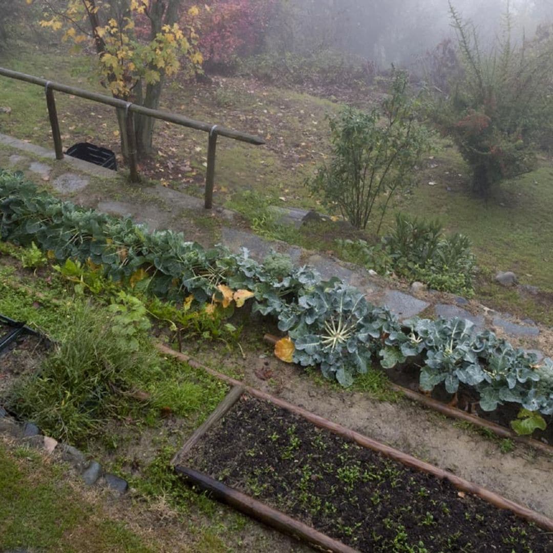 huerto invierno