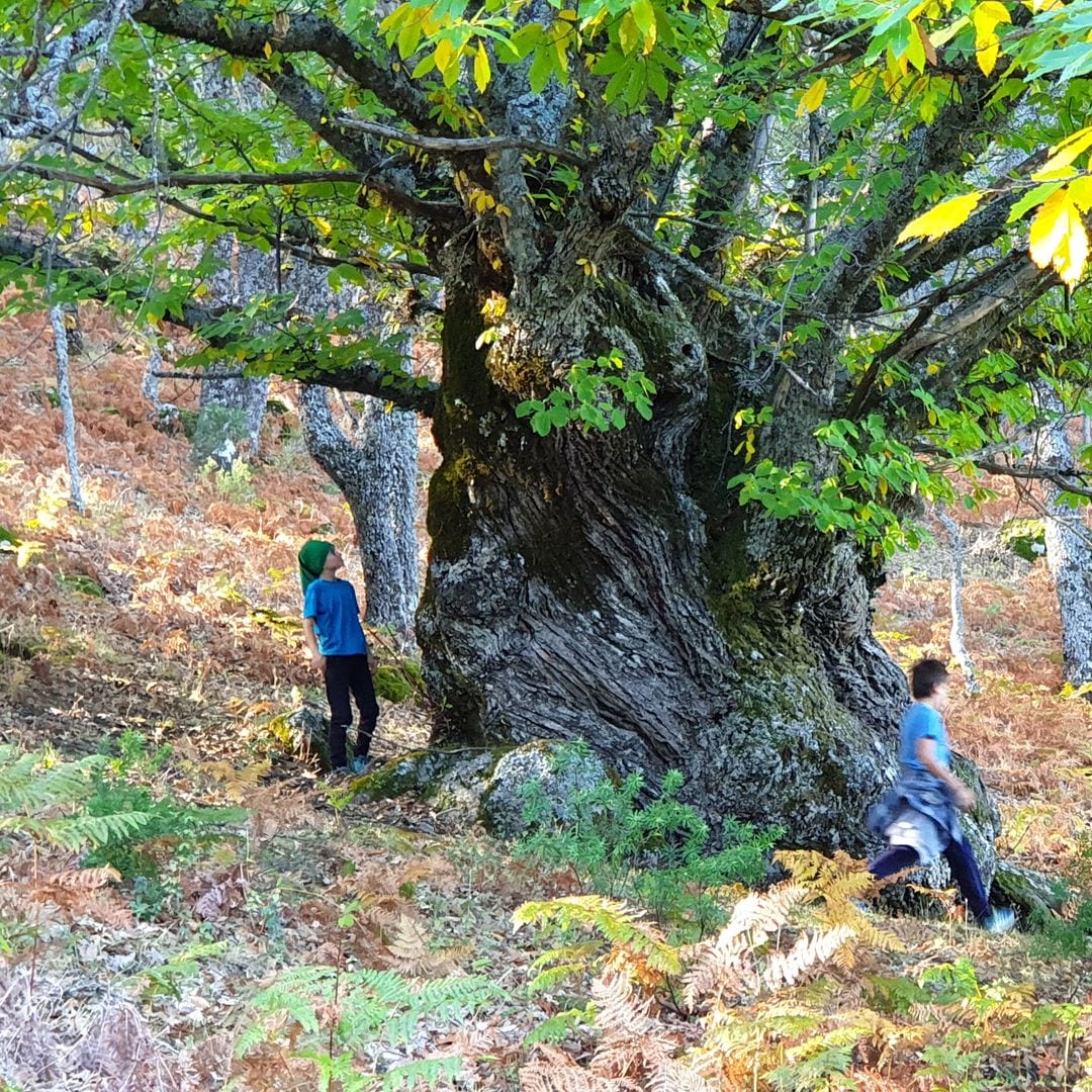 Otoño Mágico del Valle del Ambroz, Cáceres