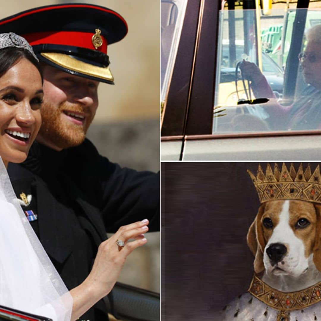 De perro de refugio a alteza canina: la mascota de Meghan desata su propio fenómeno