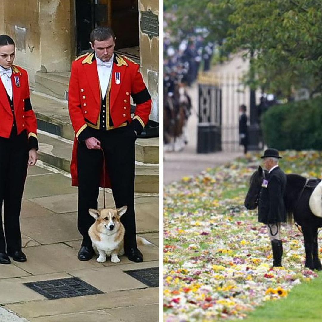 Los corgis y el poni de la reina Isabel II, fidelidad hasta el último momento