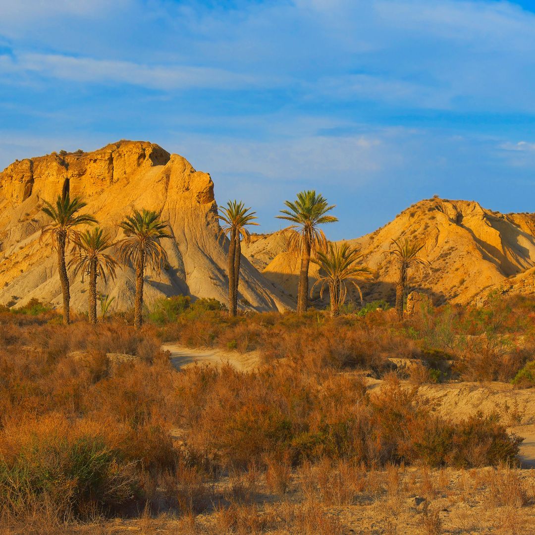 Desierto de Tabernas, Almería