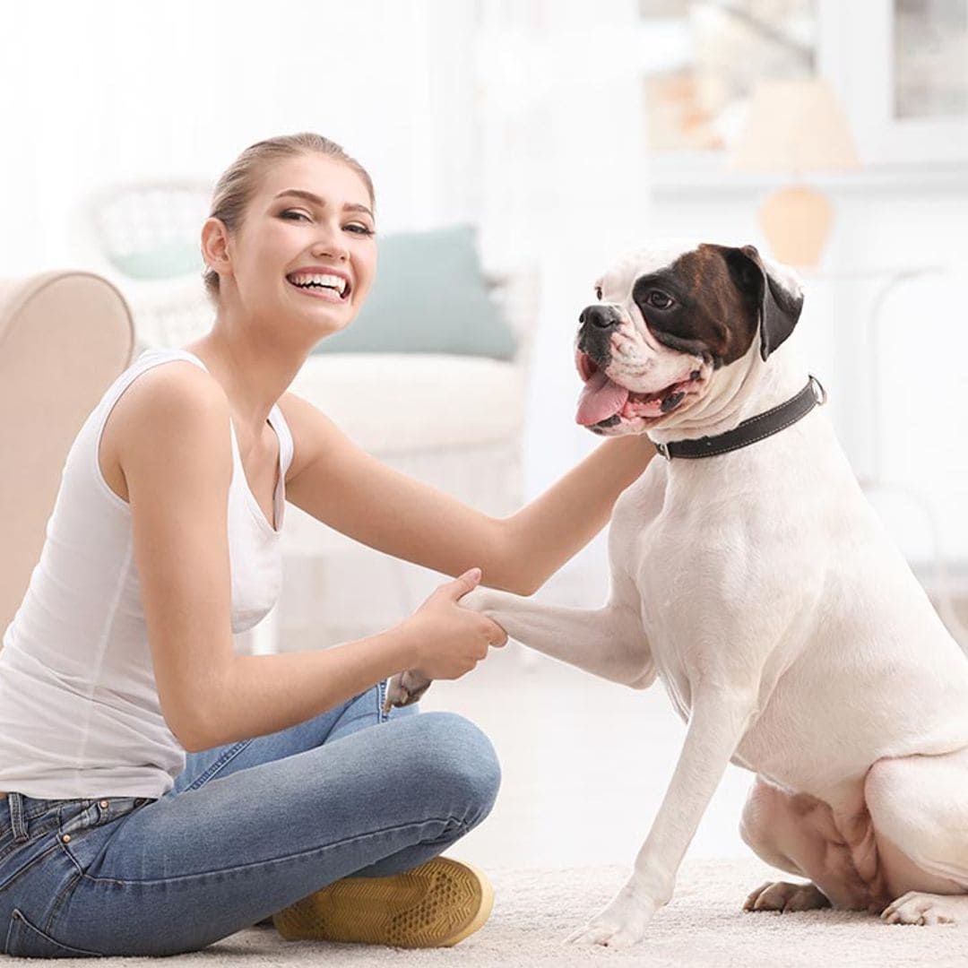 Las razas de perro más buscadas y deseadas