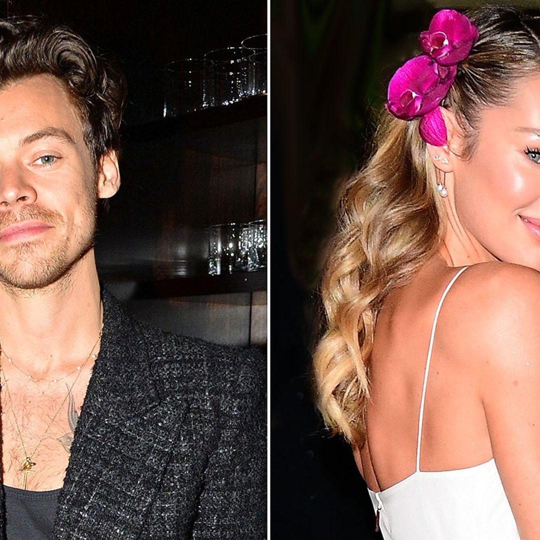 Harry Styles, ¿cautivado por la belleza de la modelo Candice Swanepoel?