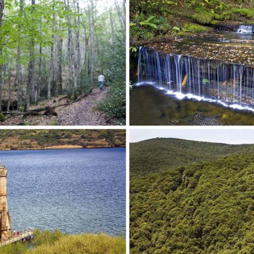 El monte Hijedo, un precioso robledal para senderistas entre Cantabria y Burgos