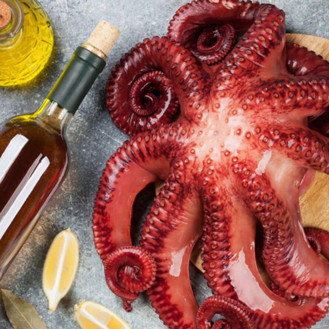 ¿Sin nuevas ideas para tus platos navideños? ¡Atrévete con estas recetas de pulpo!