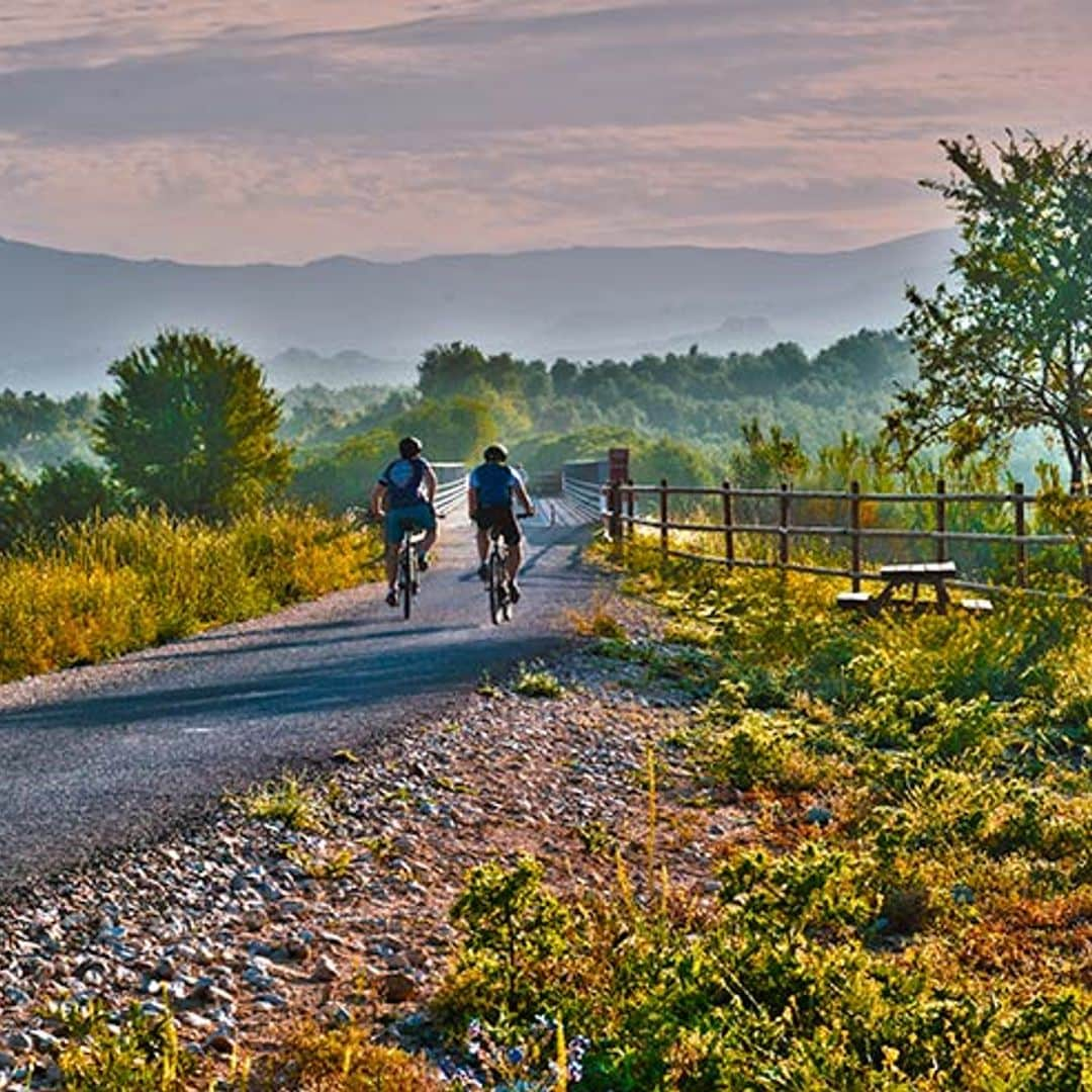 Pedaleando por un mar de olivos en Córdoba