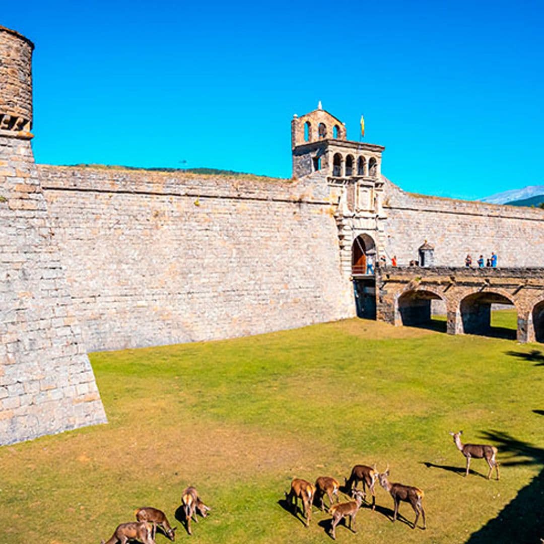 Planes para hacer un día en Jaca y no parar más allá de la montaña