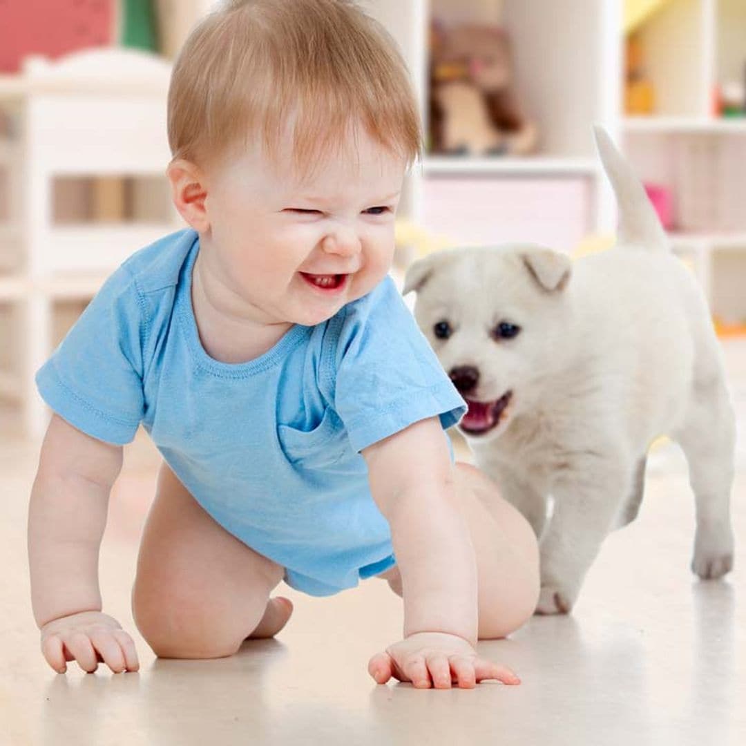 Estas 15 razas de perro son perfectas si tienes niños en casa