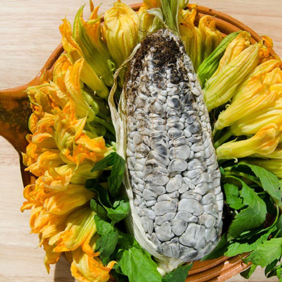 Huitlacoche, comida de dioses