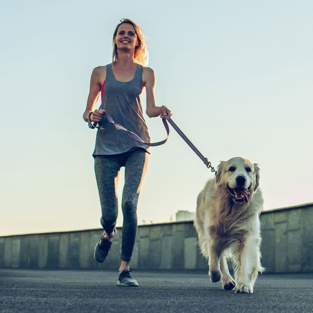 Cuánto ejercicio puedo hacer con mi perro en el desconfinamiento