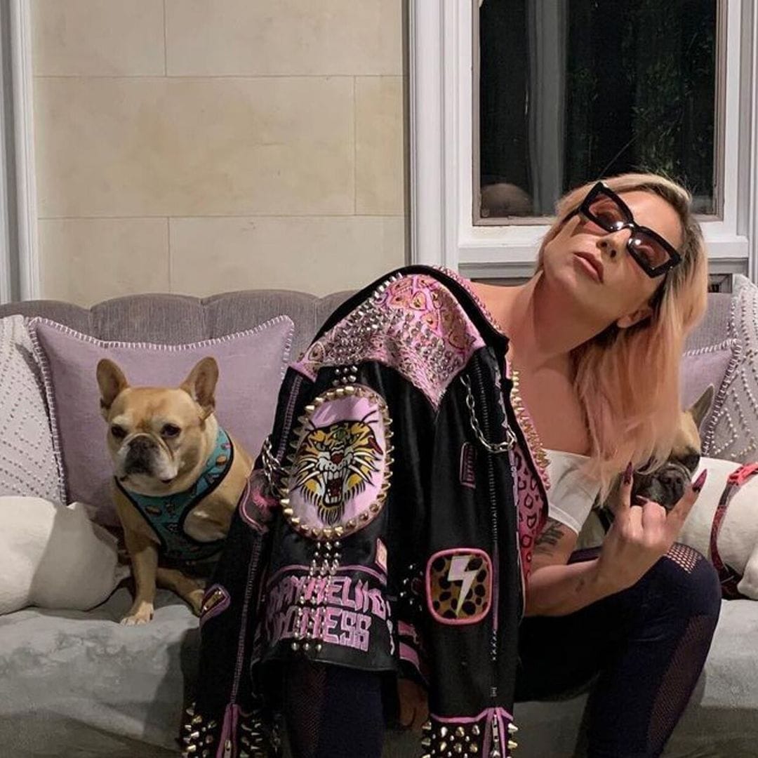 Lady Gaga: mujer que ayudó a rescatar a sus perros, sospechosa del secuestro