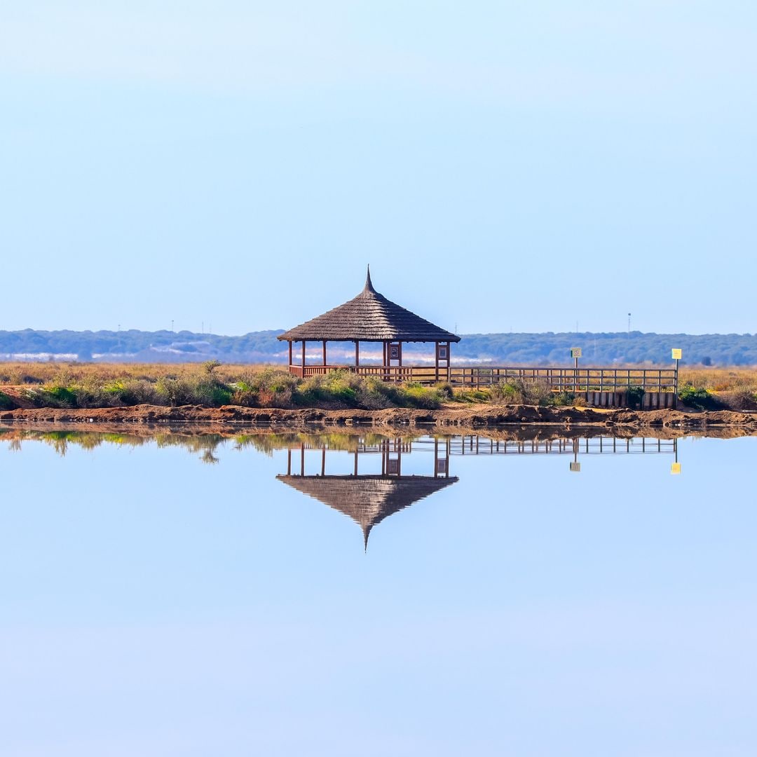 Observatorio de aves en las marismas del Odiel, Huelva