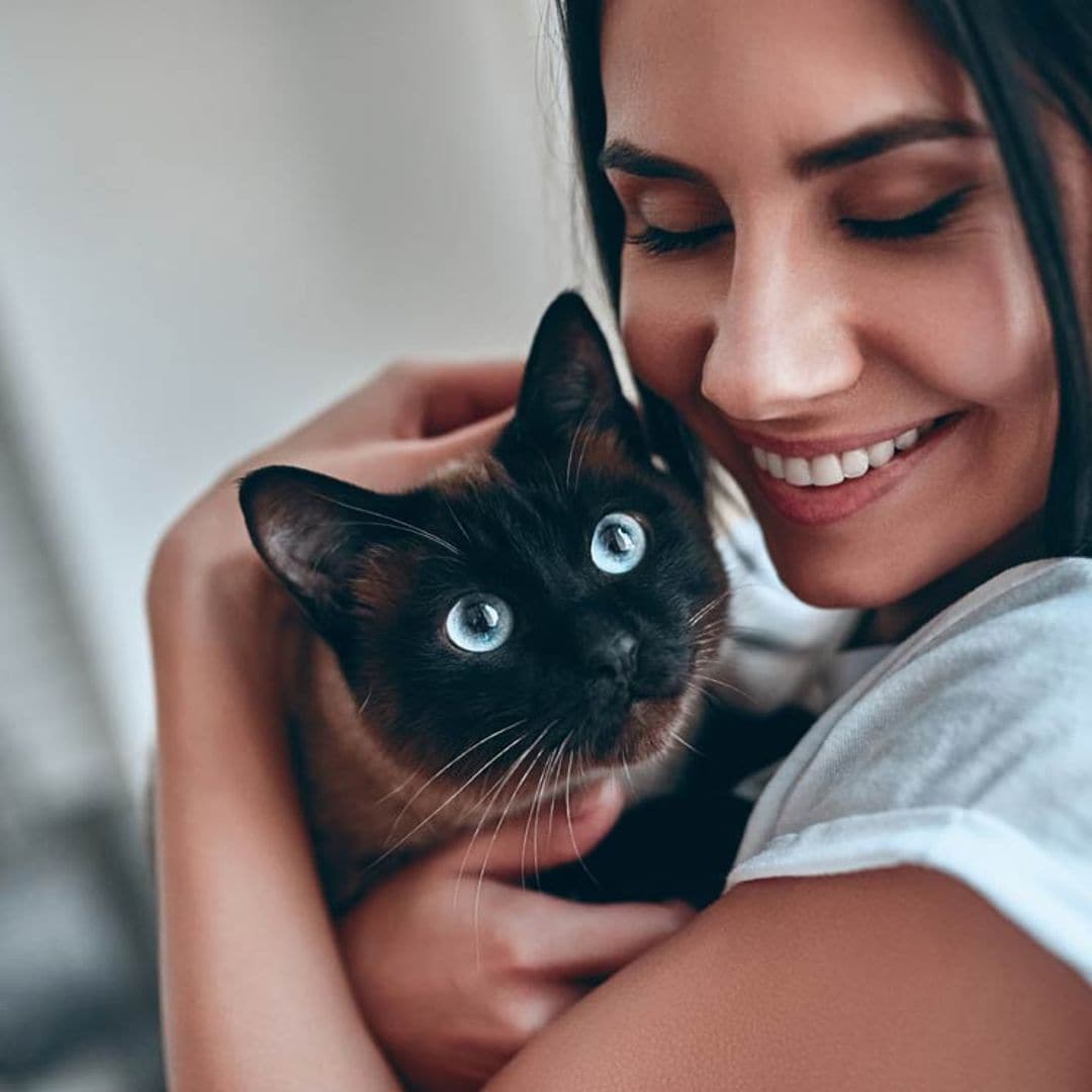 gato y chica amor